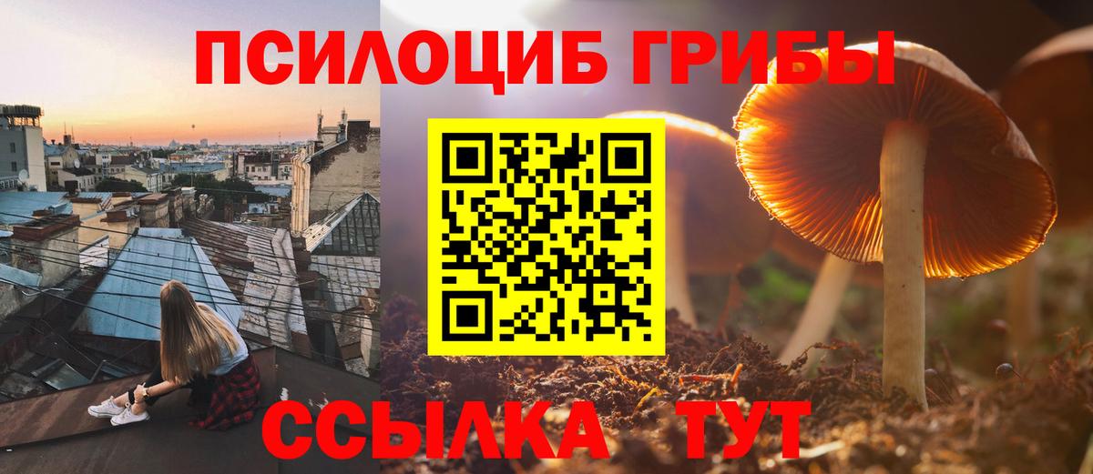 Галлюциногенные грибы Cubensis Ступино