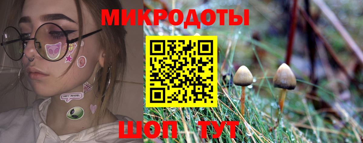 Галлюциногенные грибы GOLDEN TEACHER  купить закладку  Вход с VPN  Ступино  Псилоцибиновые грибы Psilocybine cubensis 